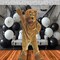 Adult Lion Mascot Costume Jumpsuit with Mitts Fur Mane Head and Oversized Feet